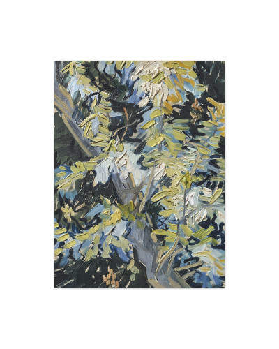 Acacia in Flowers by Vincent van Gogh