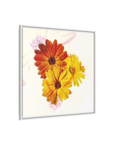 Collection Signature "FLORAL Numéro 13" sur Toile